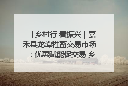乡村行 看振兴｜嘉禾县龙潭牲畜交易市场：优惠赋能促交易 乡村振兴添动能